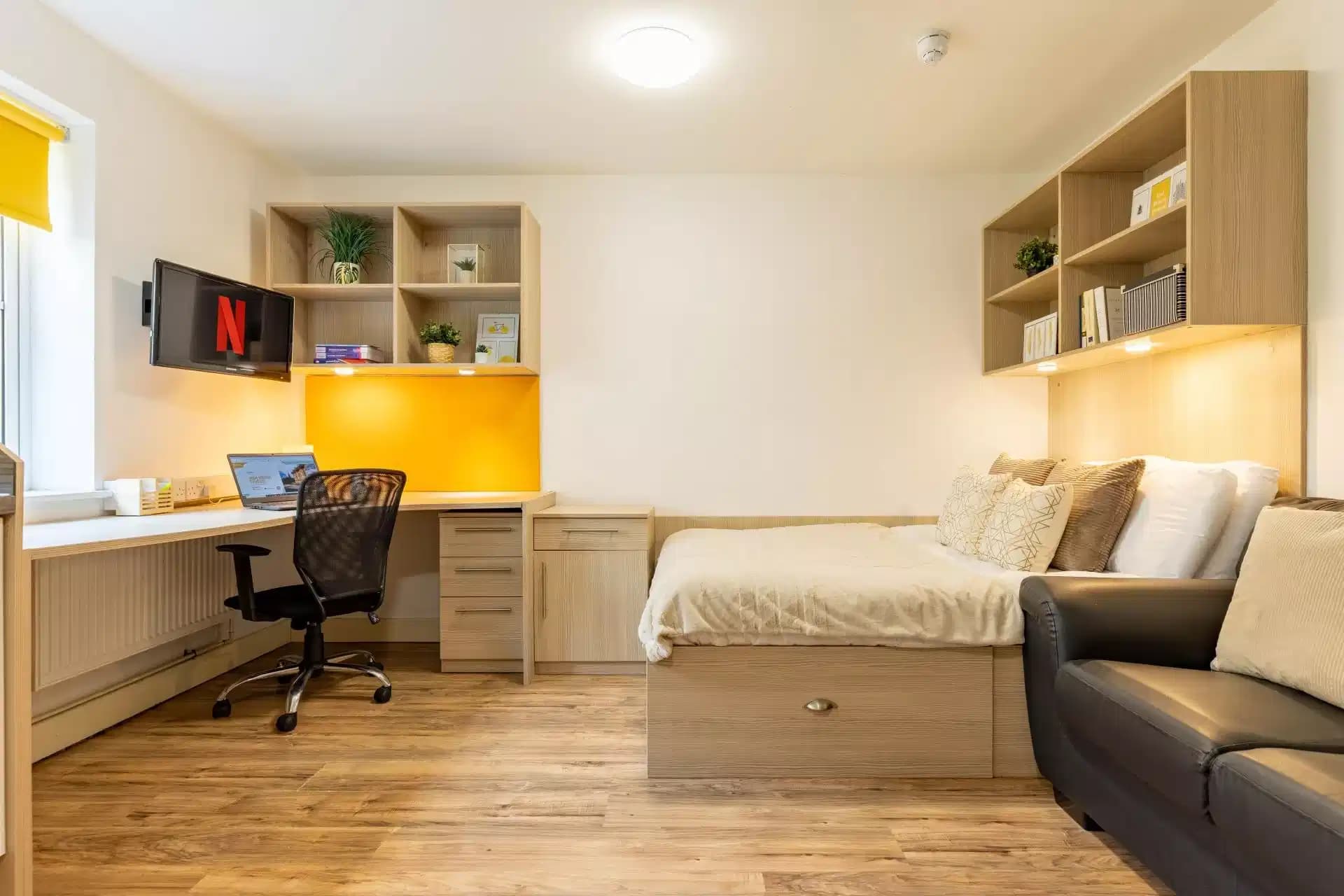 Gold Studio - Image 3