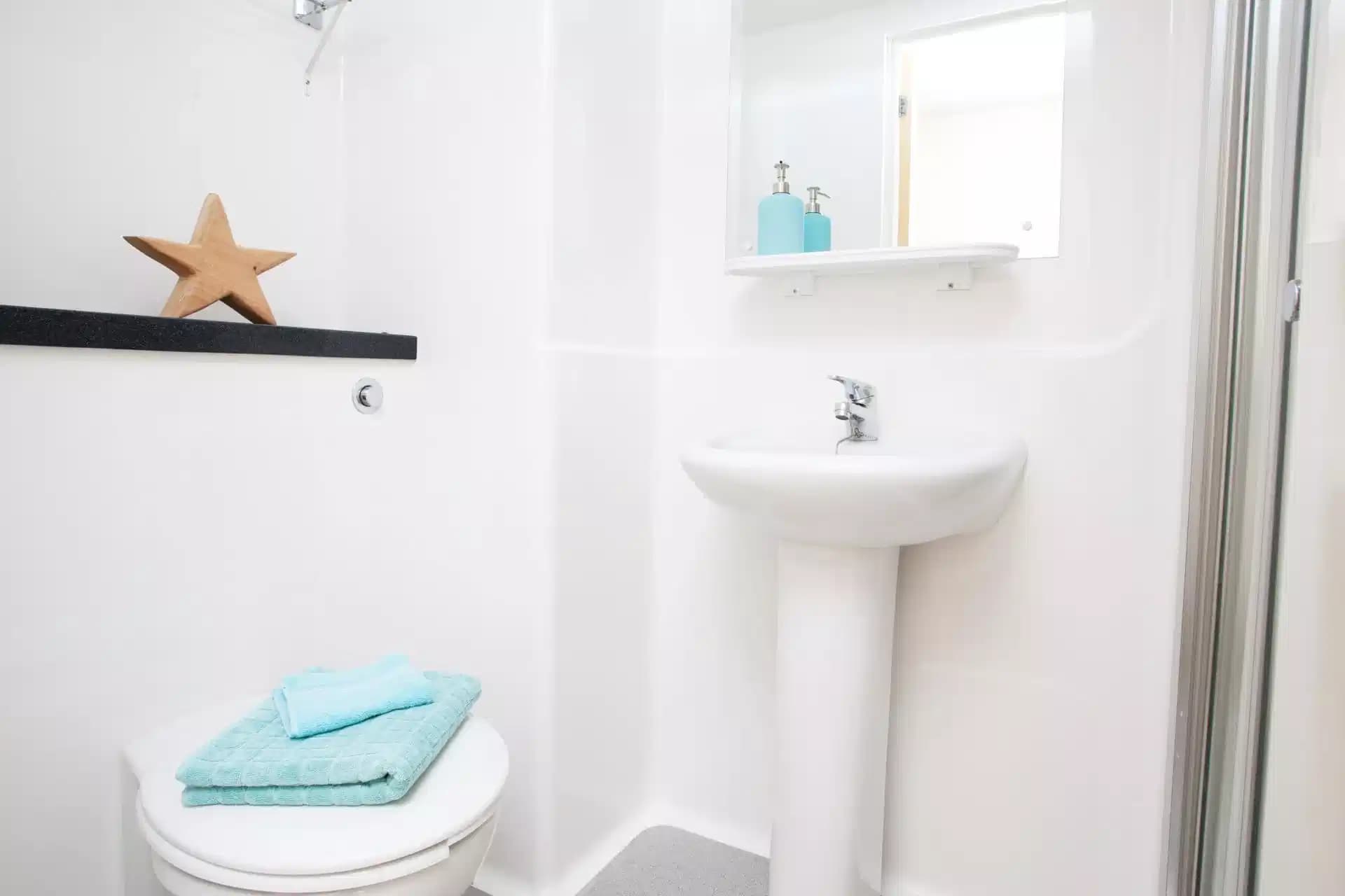 Silver Ensuite - Image 4