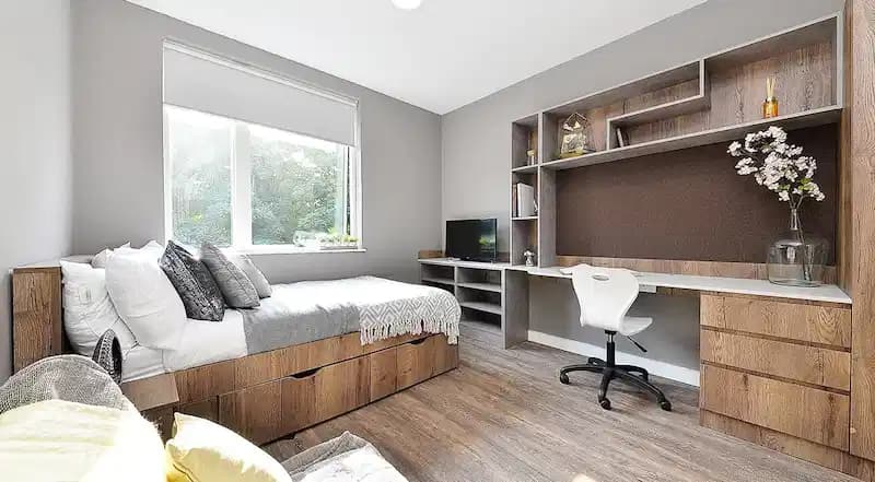 Classic Studio - Image 1