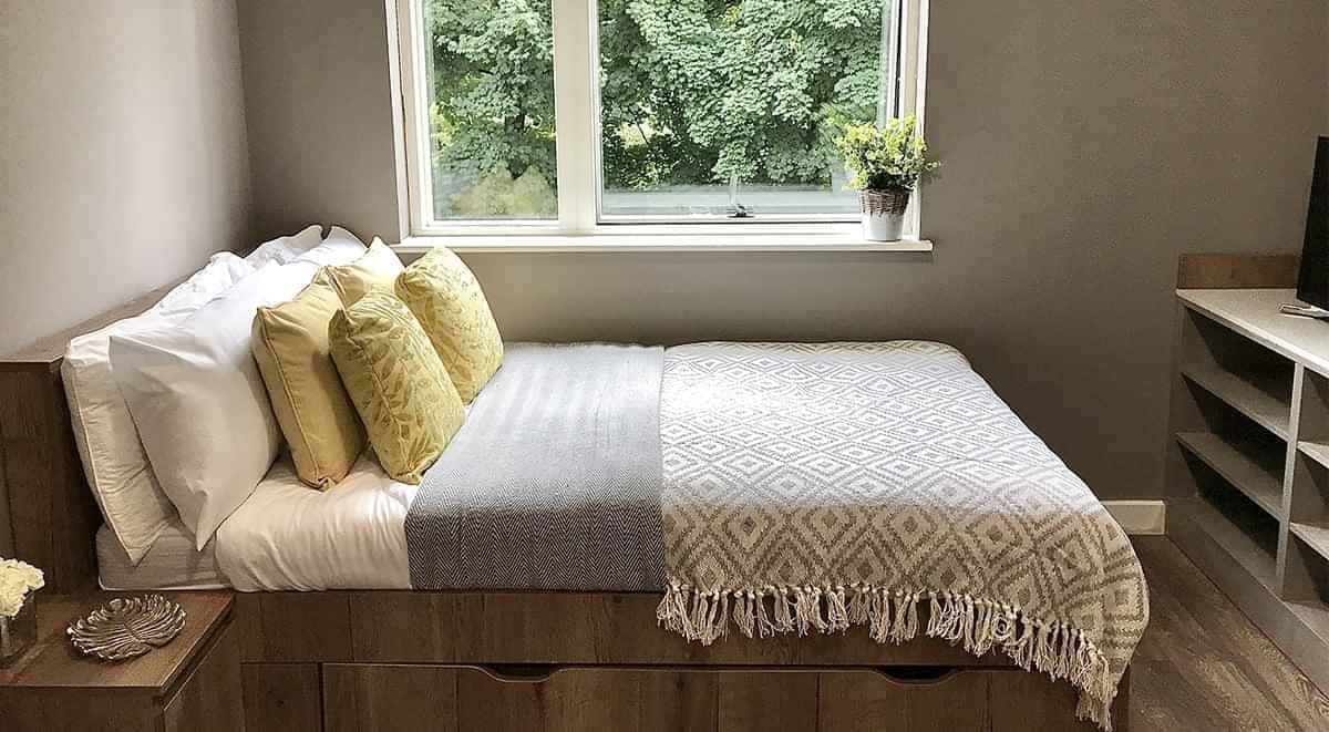 Classic Studio Plus - Image 2