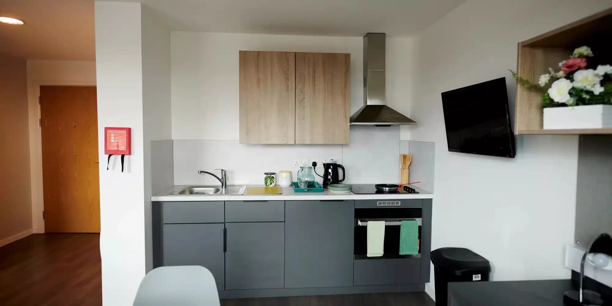 Silver Ensuite Mid  - Image 6