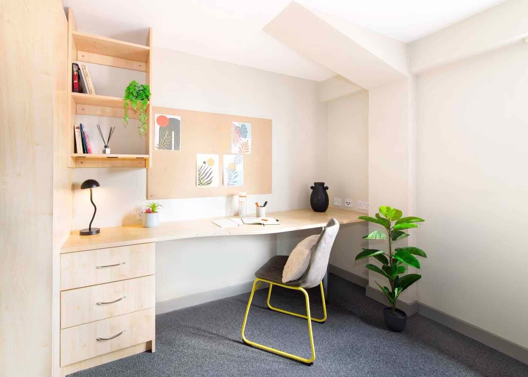 Premium Plus Studio - Image 5