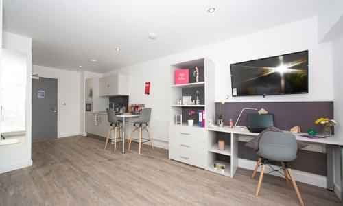 Gold Studio  - Image 3