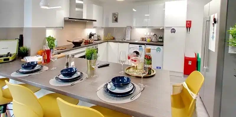 Classic Plus - Image 4