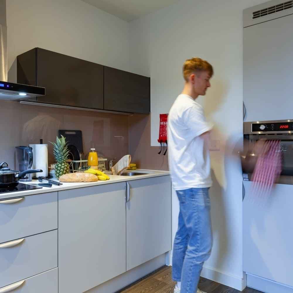 True Studio Plus - Image 3