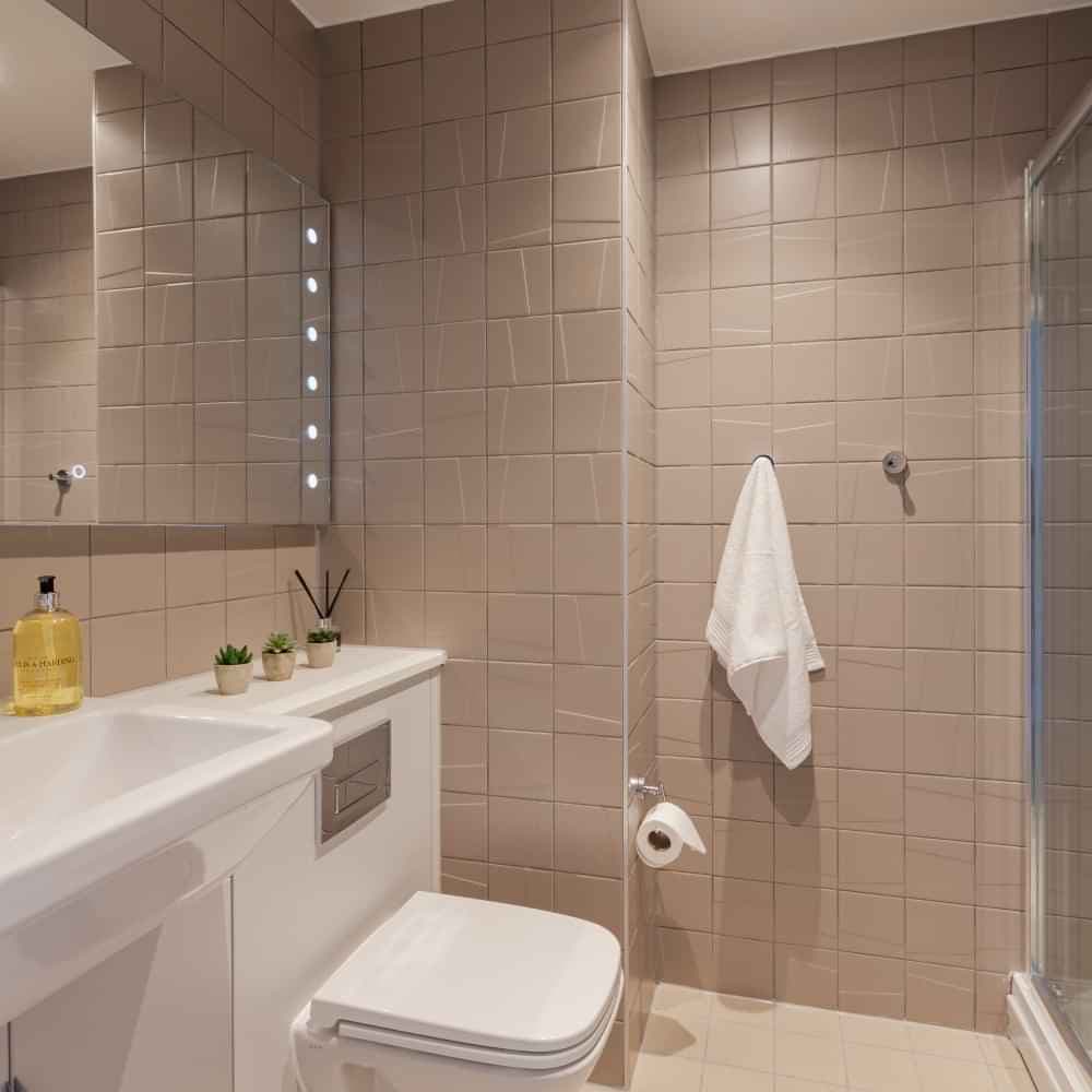 True Studio Plus - Image 5