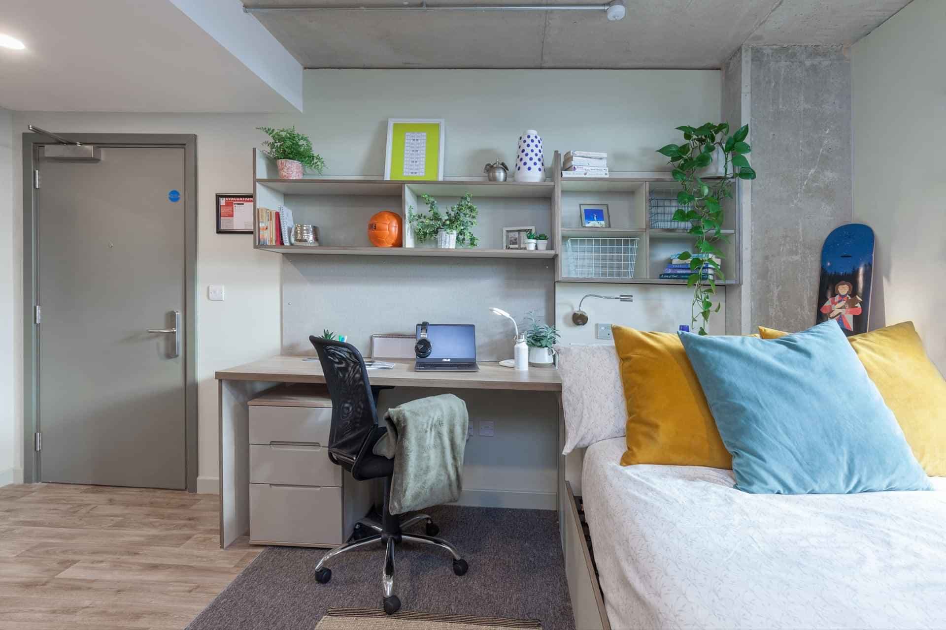 Bronze Plus Studio - Image 4