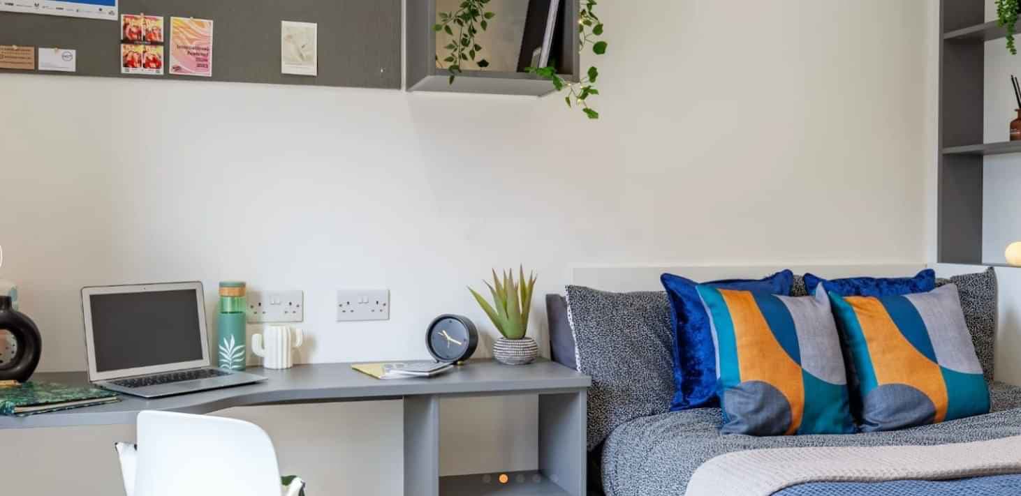 Standard Studio - Image 2