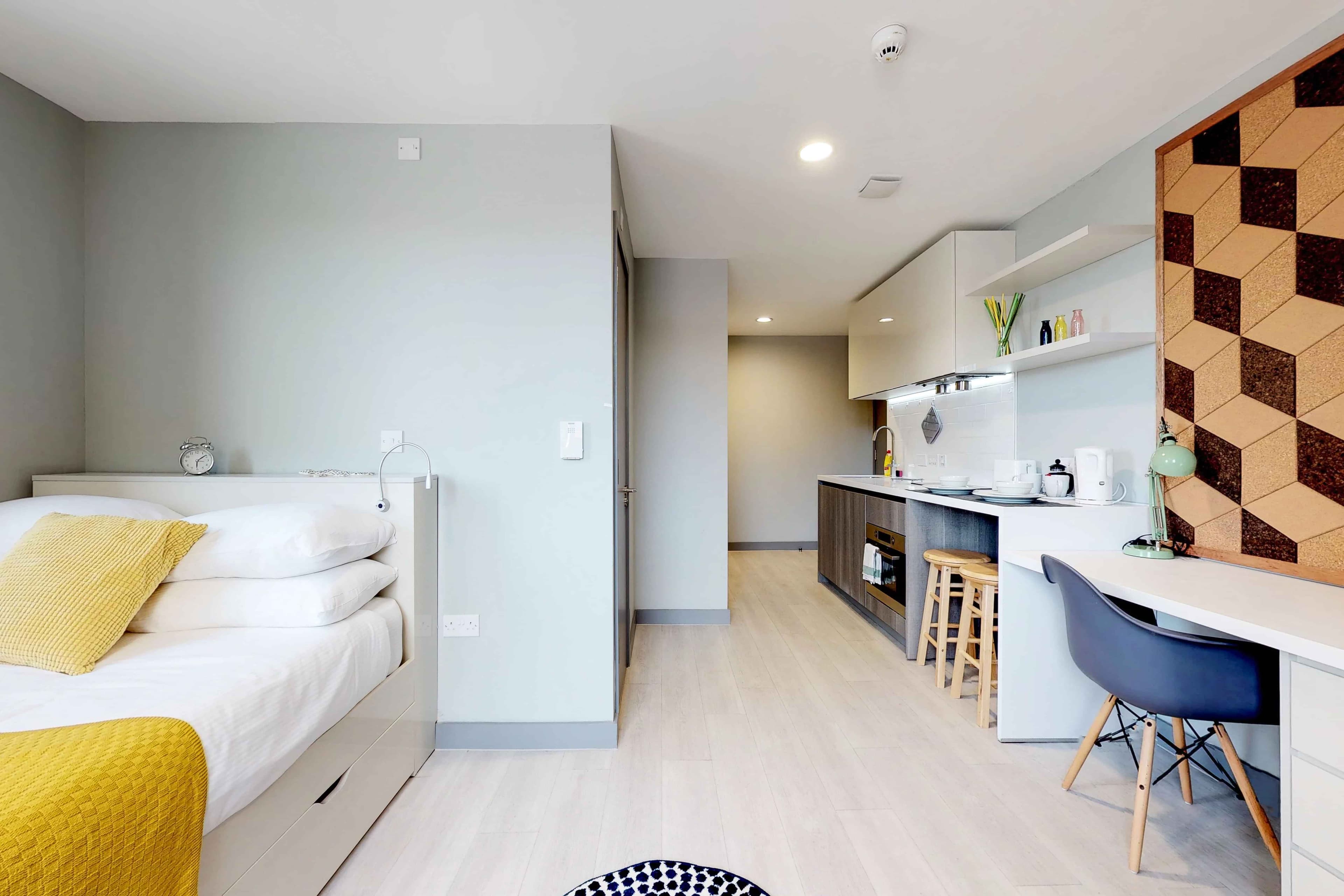 Deluxe Plus Studio - Image 6