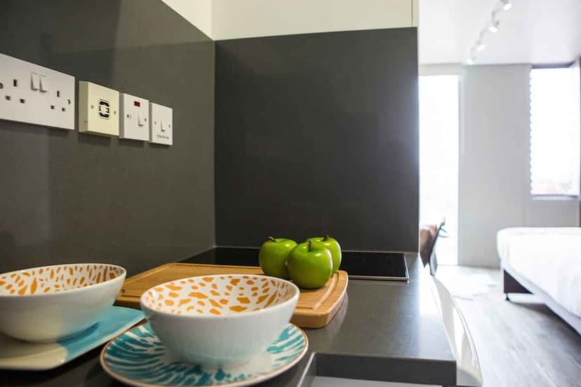 Bronze Studio Plus Penthouse - Image 1