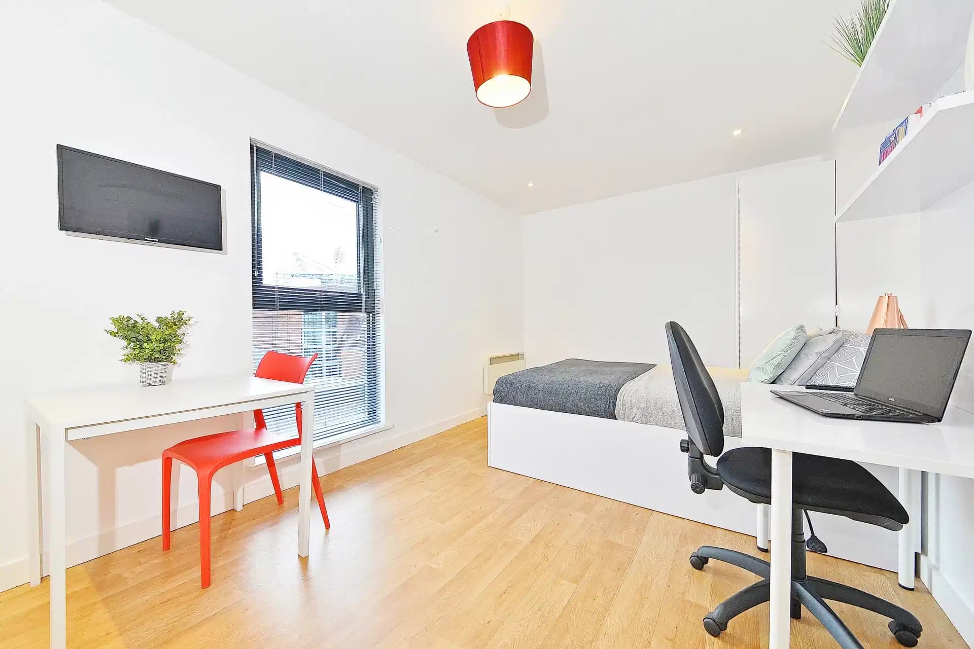 Premier Luxe Studio - Image 3