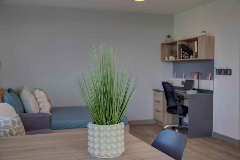 Premium Studio - Image 2