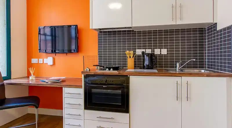 Gold Plus Studio - Image 3