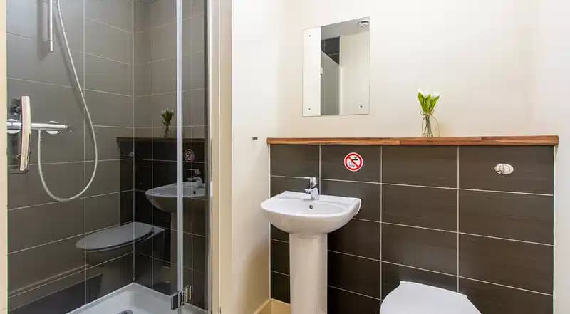 Gold Plus Studio - Image 4