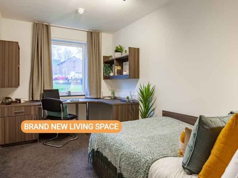 Platinum Suite - Image 10