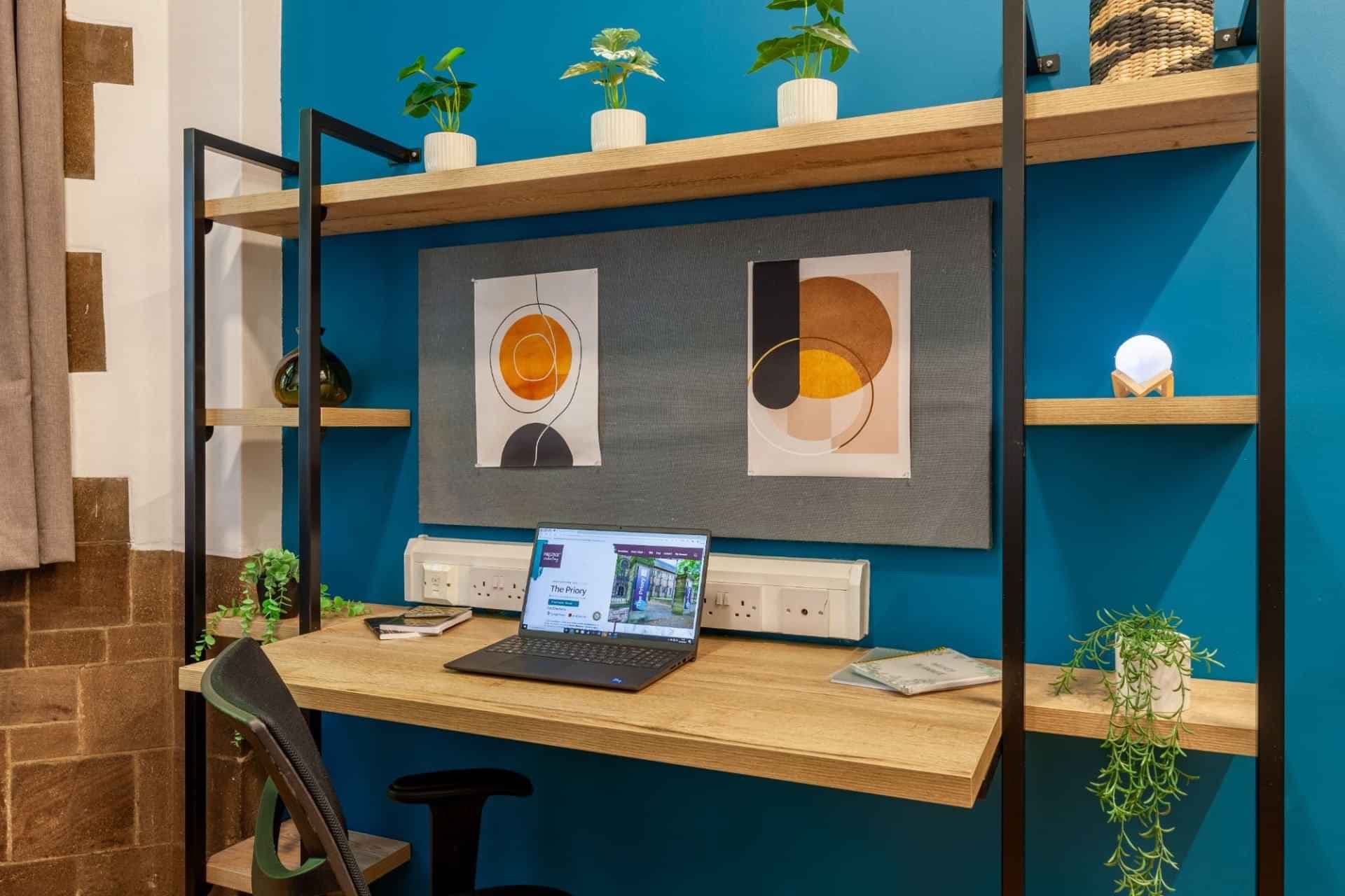 Classic Plus Studio - Image 6