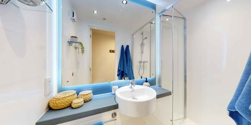 Bronze Ensuite Lower, XI - Image 2
