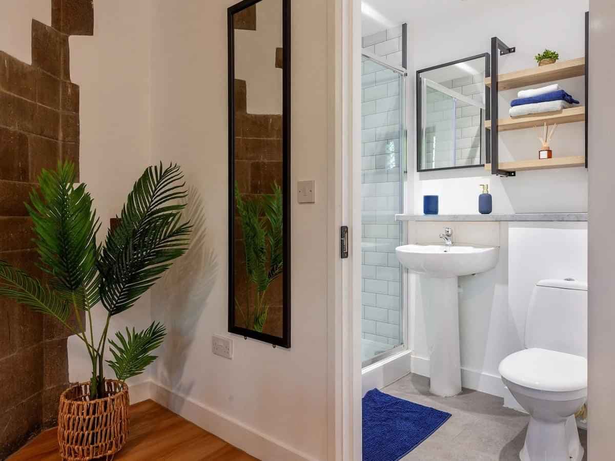 Deluxe Studio Plus  - Image 2