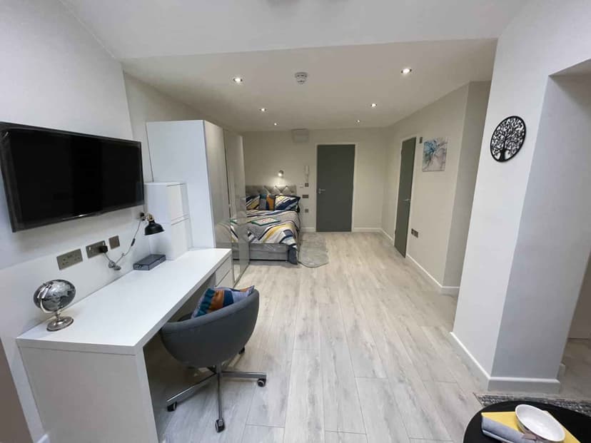 Deluxe Large Studio - Image 8