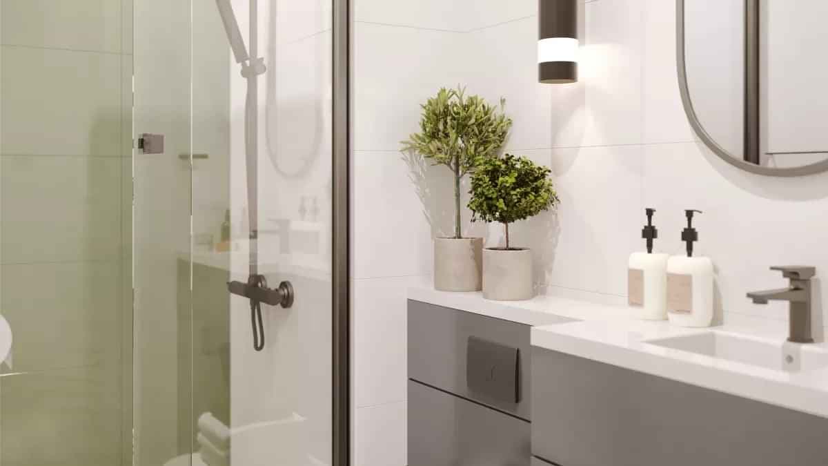 Large 1 Bedroom Apartment - Image 3