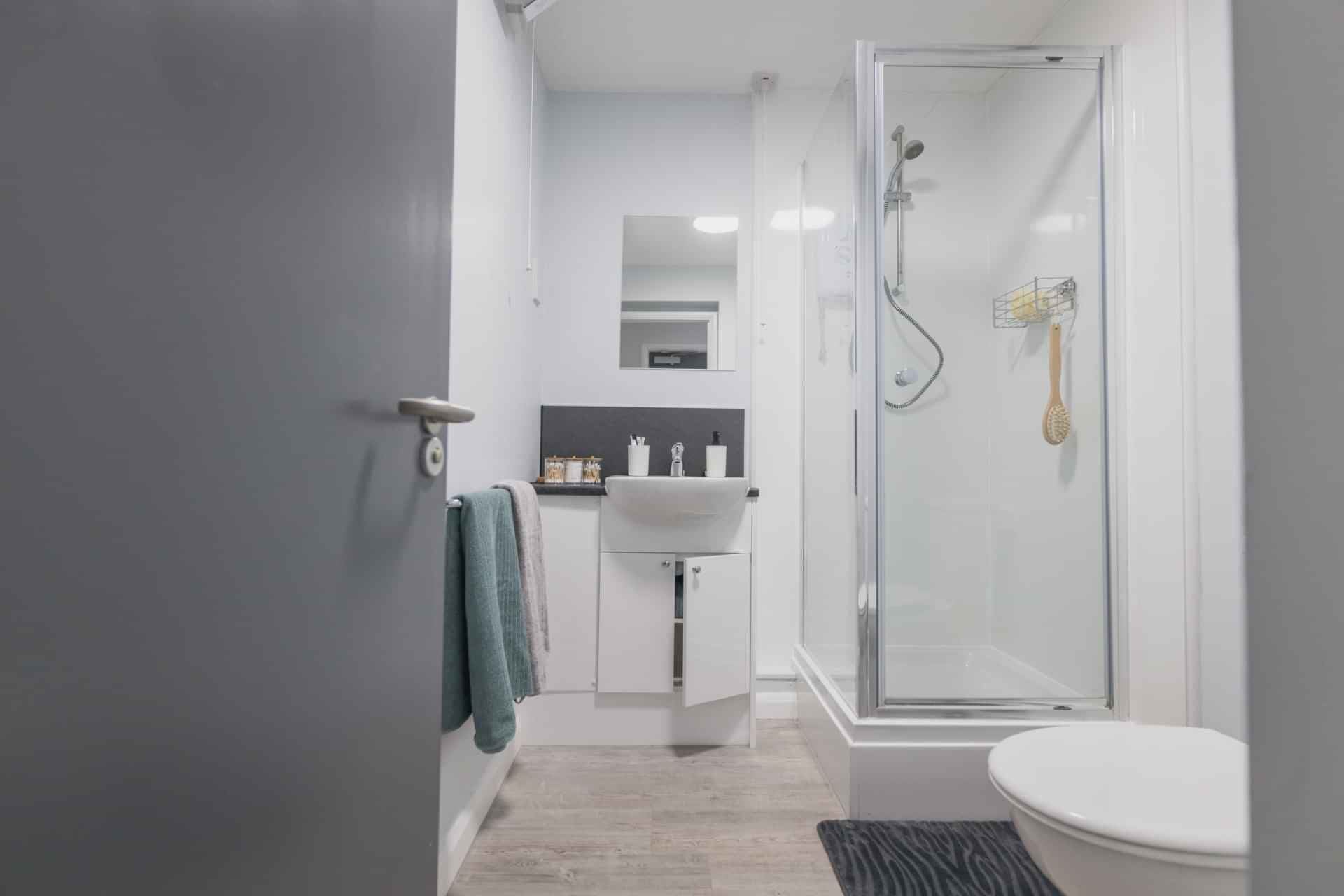 Standard Plus - Image 4