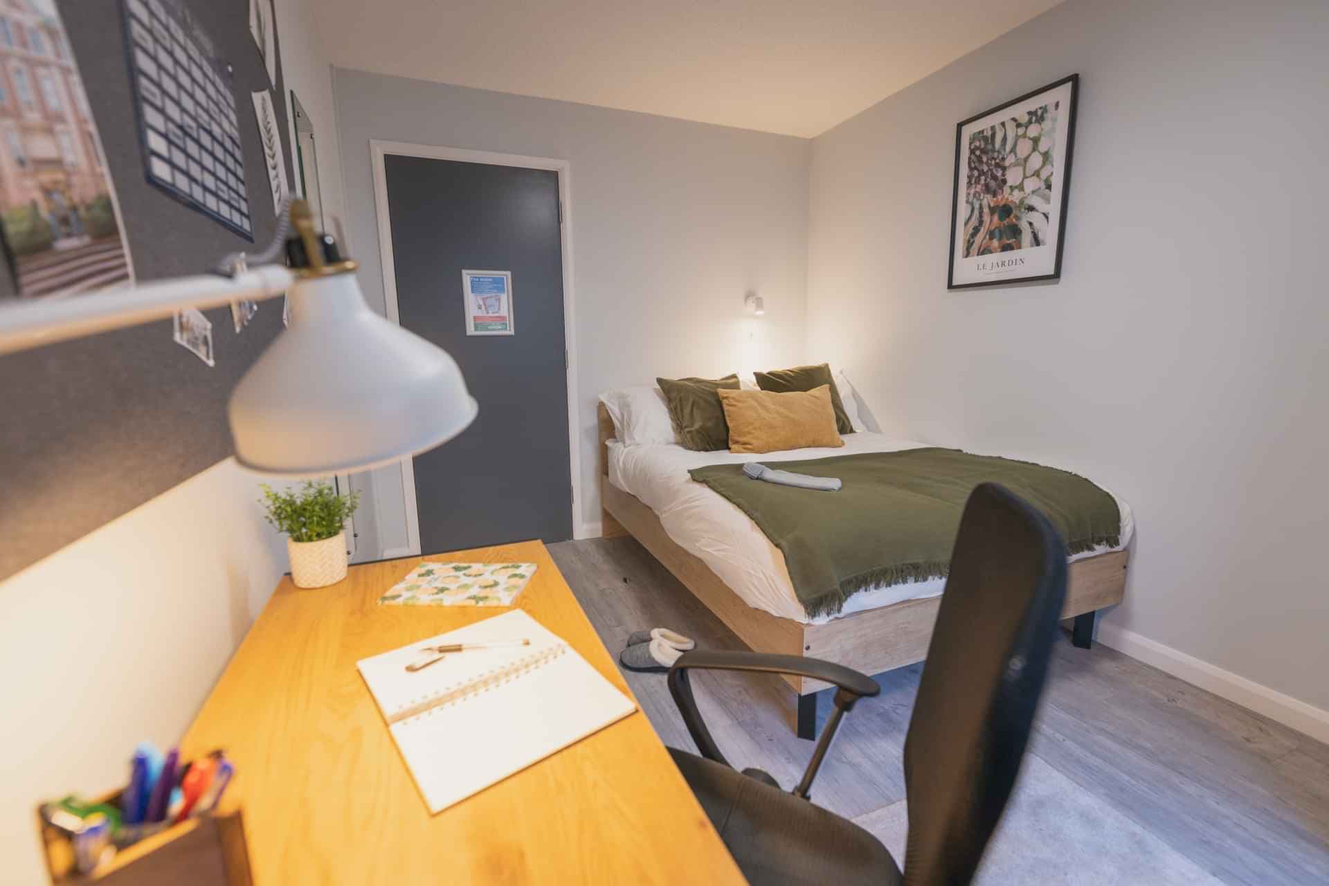 Standard Plus - Image 7