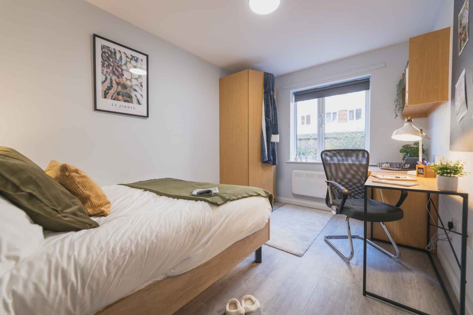 Standard Plus - Image 1