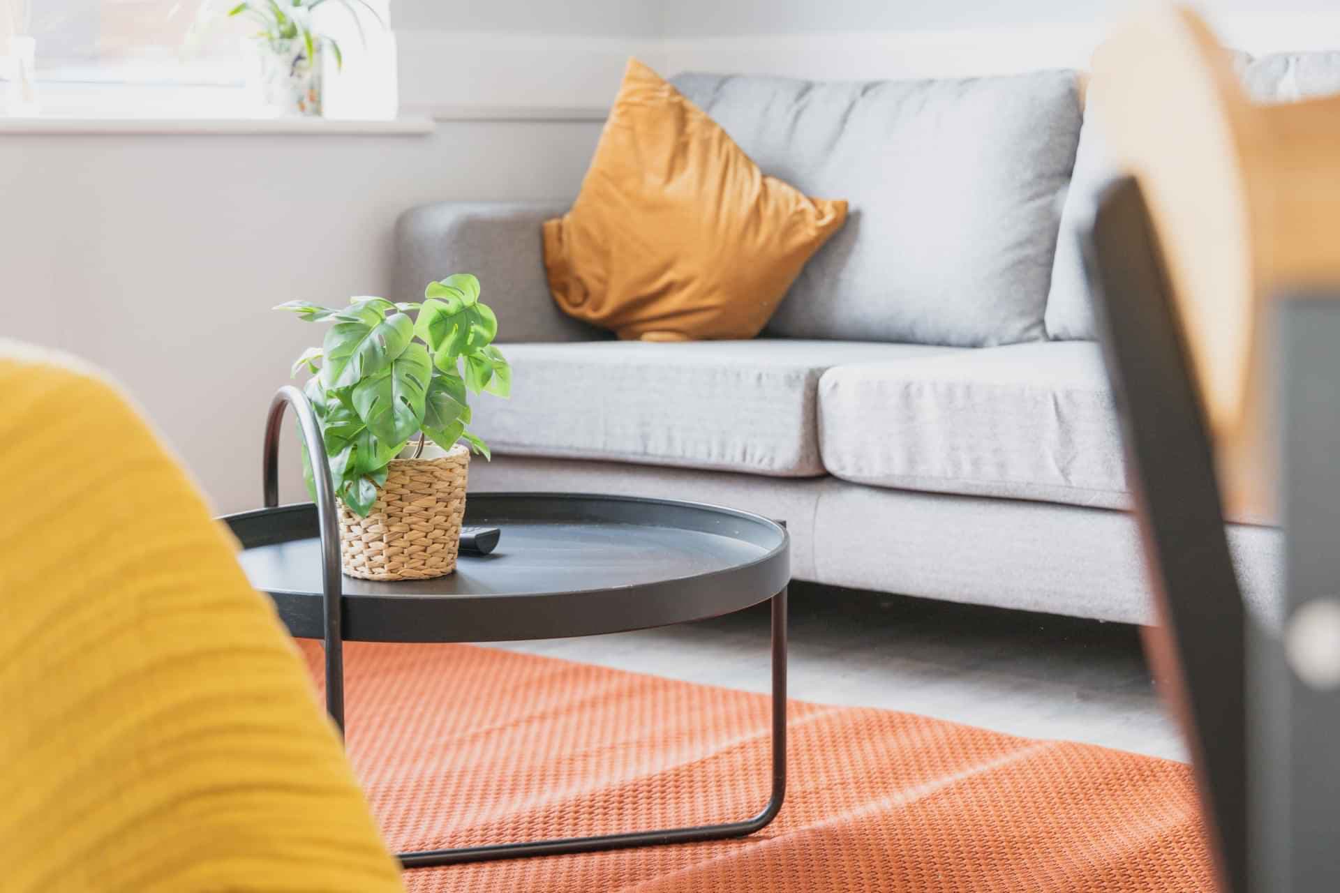 Standard Plus - Image 10