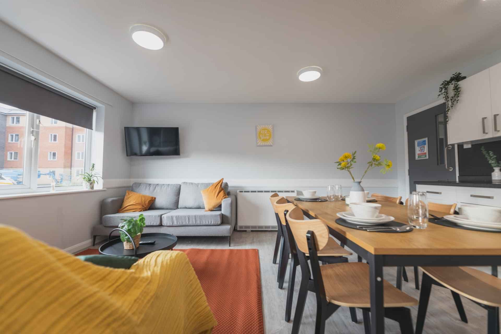 Standard Plus - Image 3