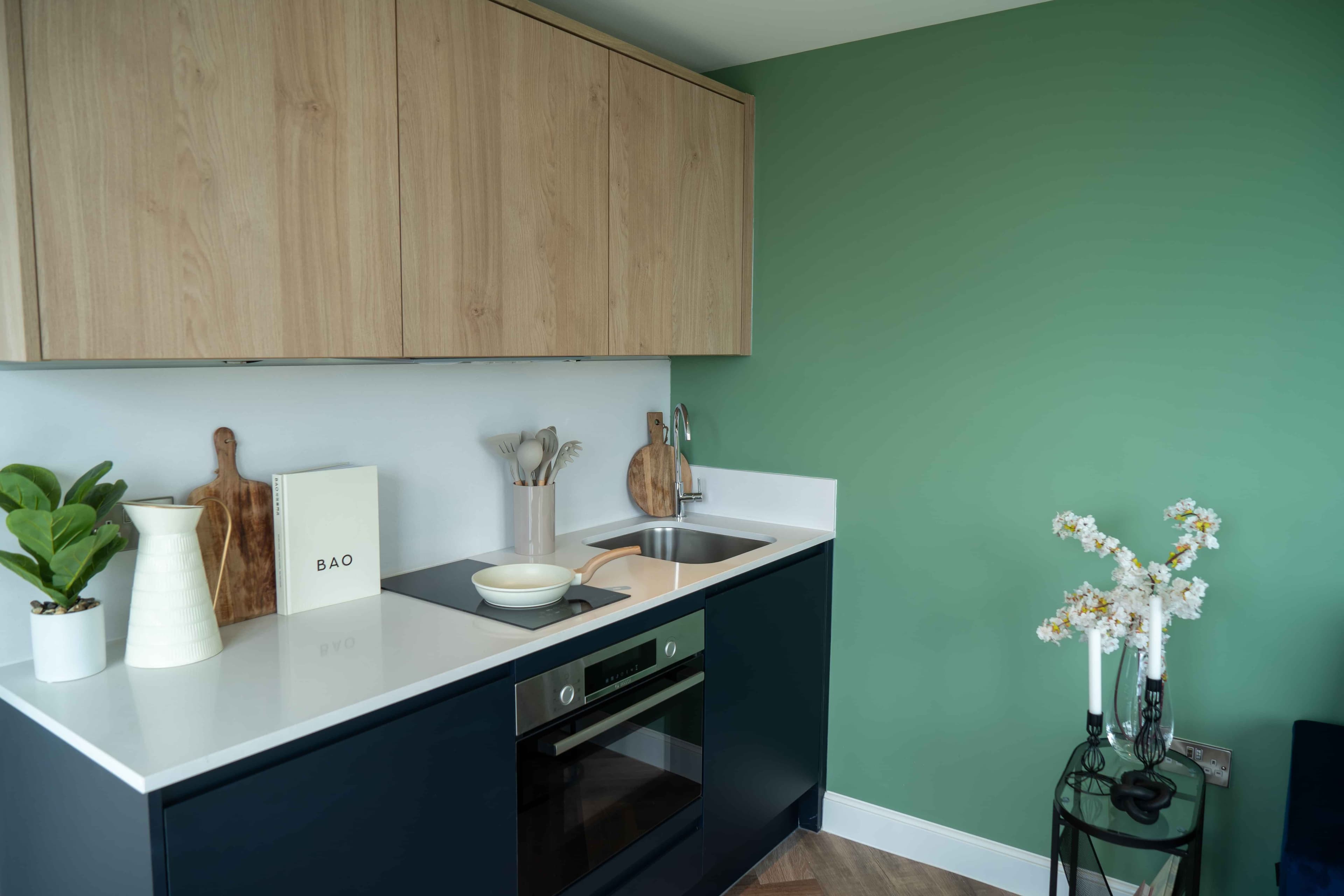 Large Studio Apartment - Image 4