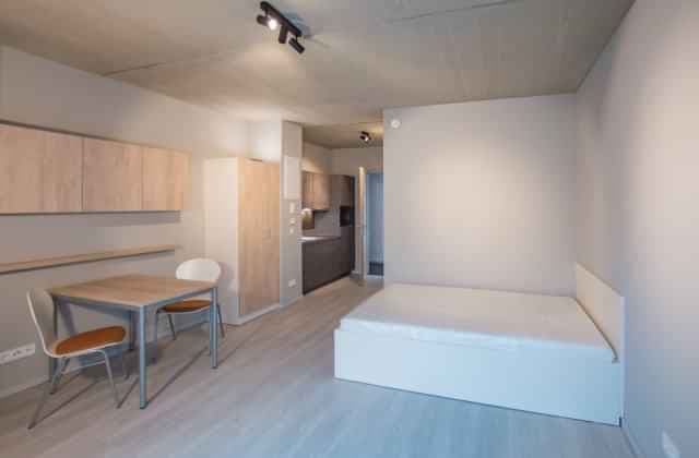 Premium - Image 12