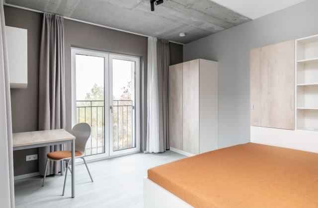 Premium - Image 4