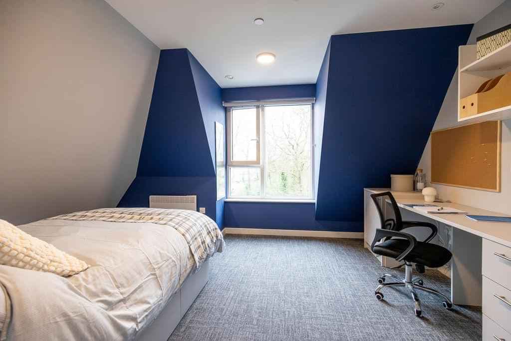 Deluxe Twodio - Image 5