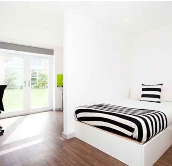 Studio Gold Plus - Image 1