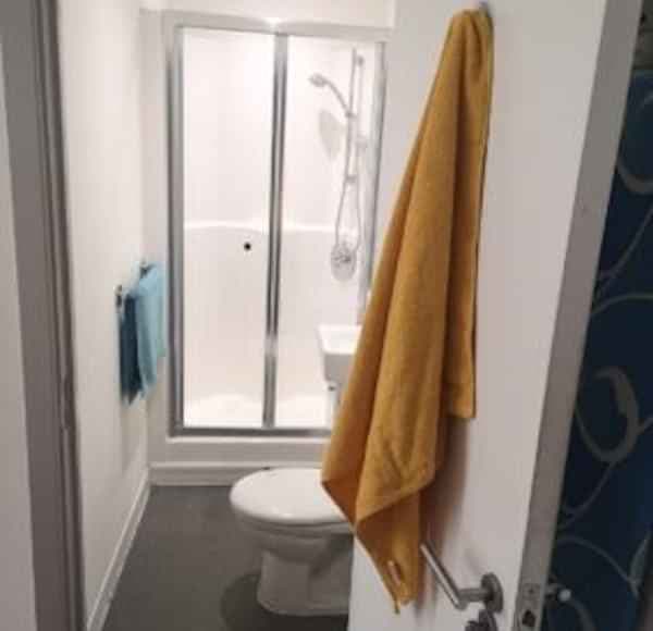 Studio Gold Plus - Image 2