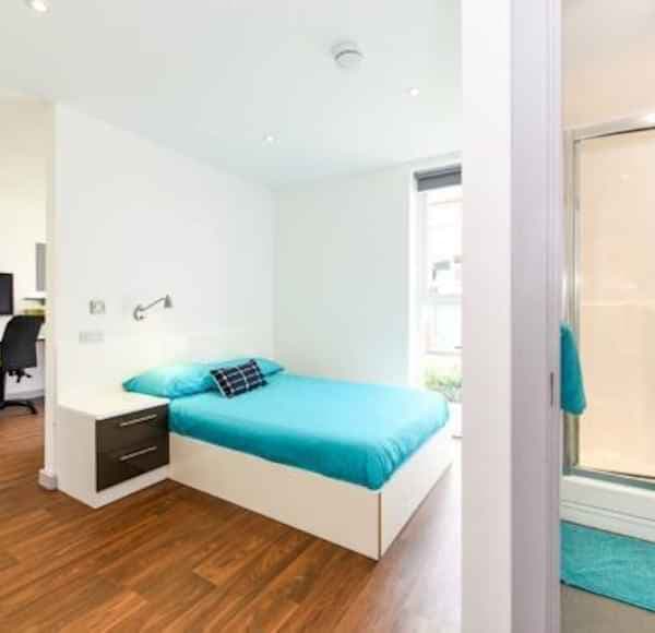 Studio Gold Plus - Image 4