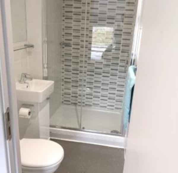 Studio Bronze Plus - Image 2