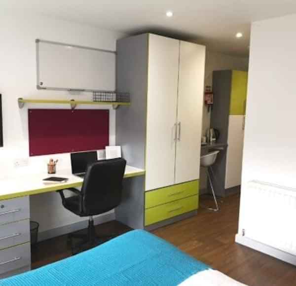 Studio Bronze Plus - Image 6