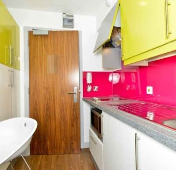 Studio Bronze Plus - Image 3