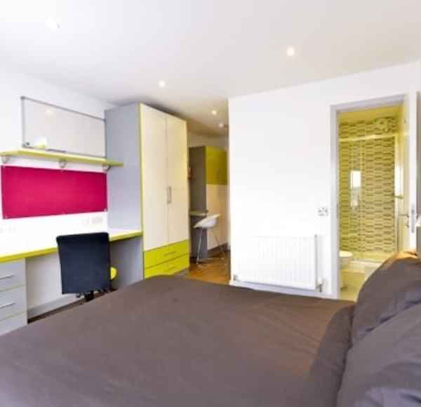 Studio Bronze Plus - Image 5