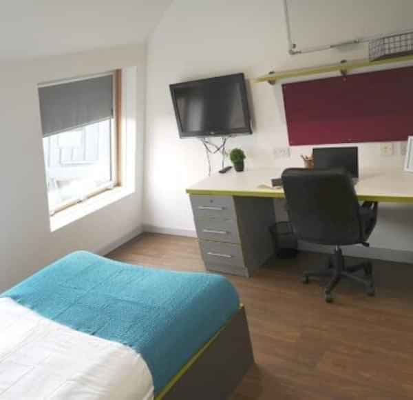 Studio Bronze Plus - Image 4