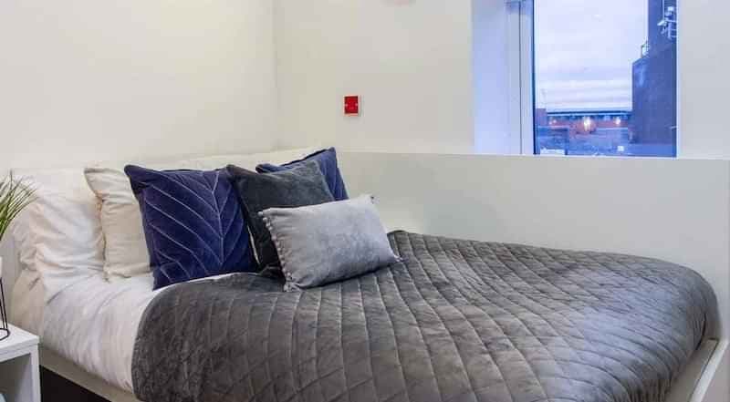 Bronze Studio Plus - Image 1