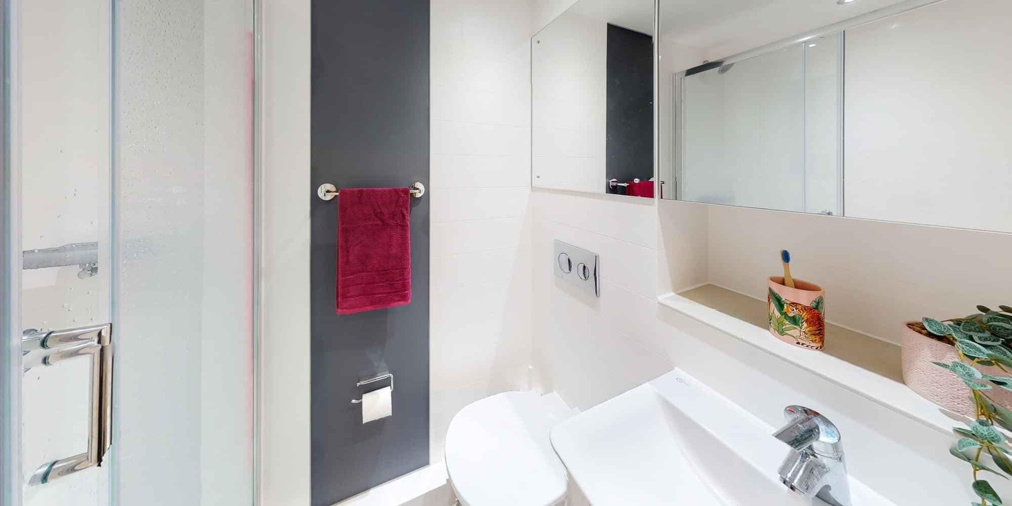 Bronze Ensuite Mid - Image 7