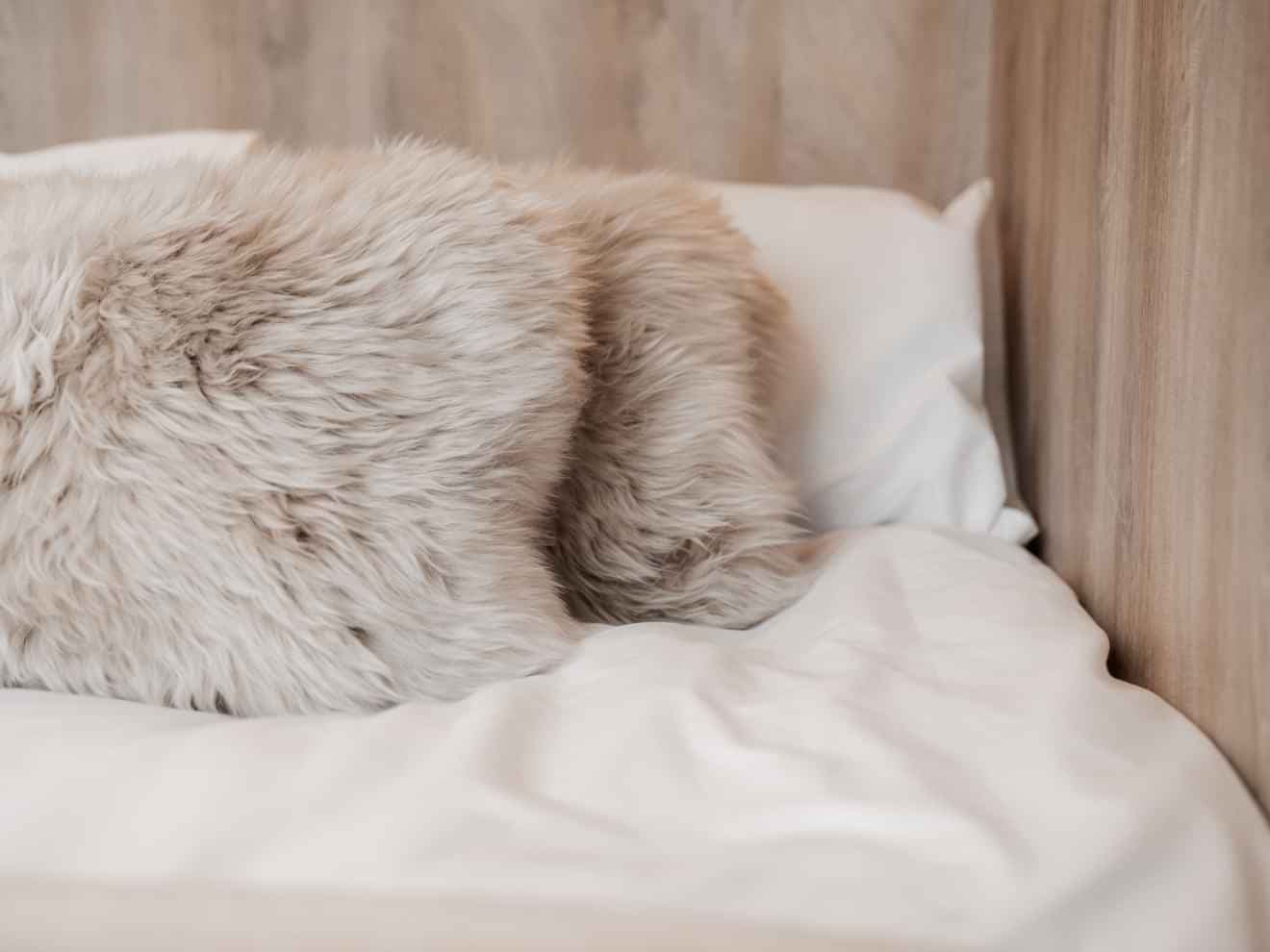 Prestige Ensuite - Image 1