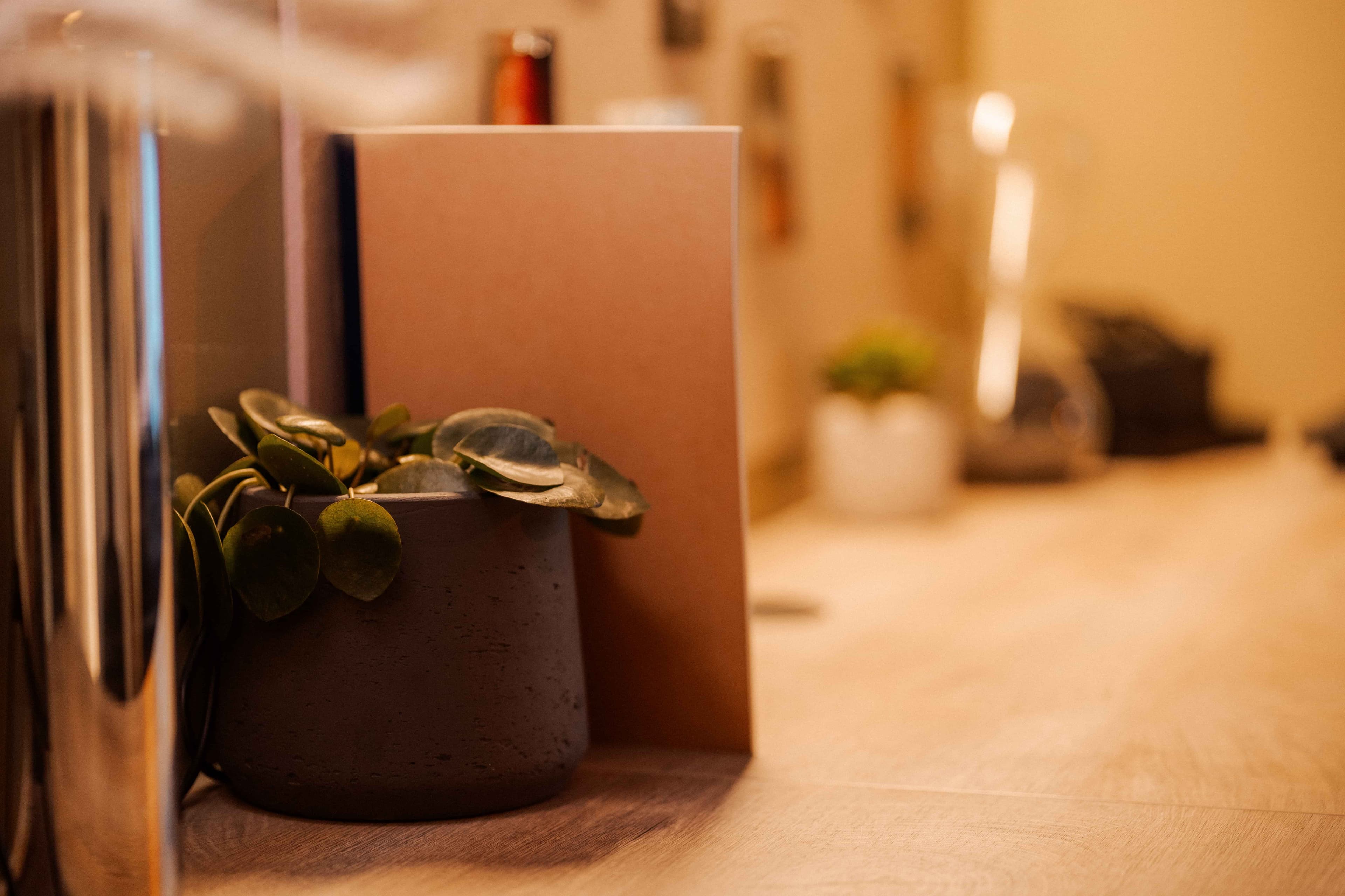 Classic Studio - Image 5