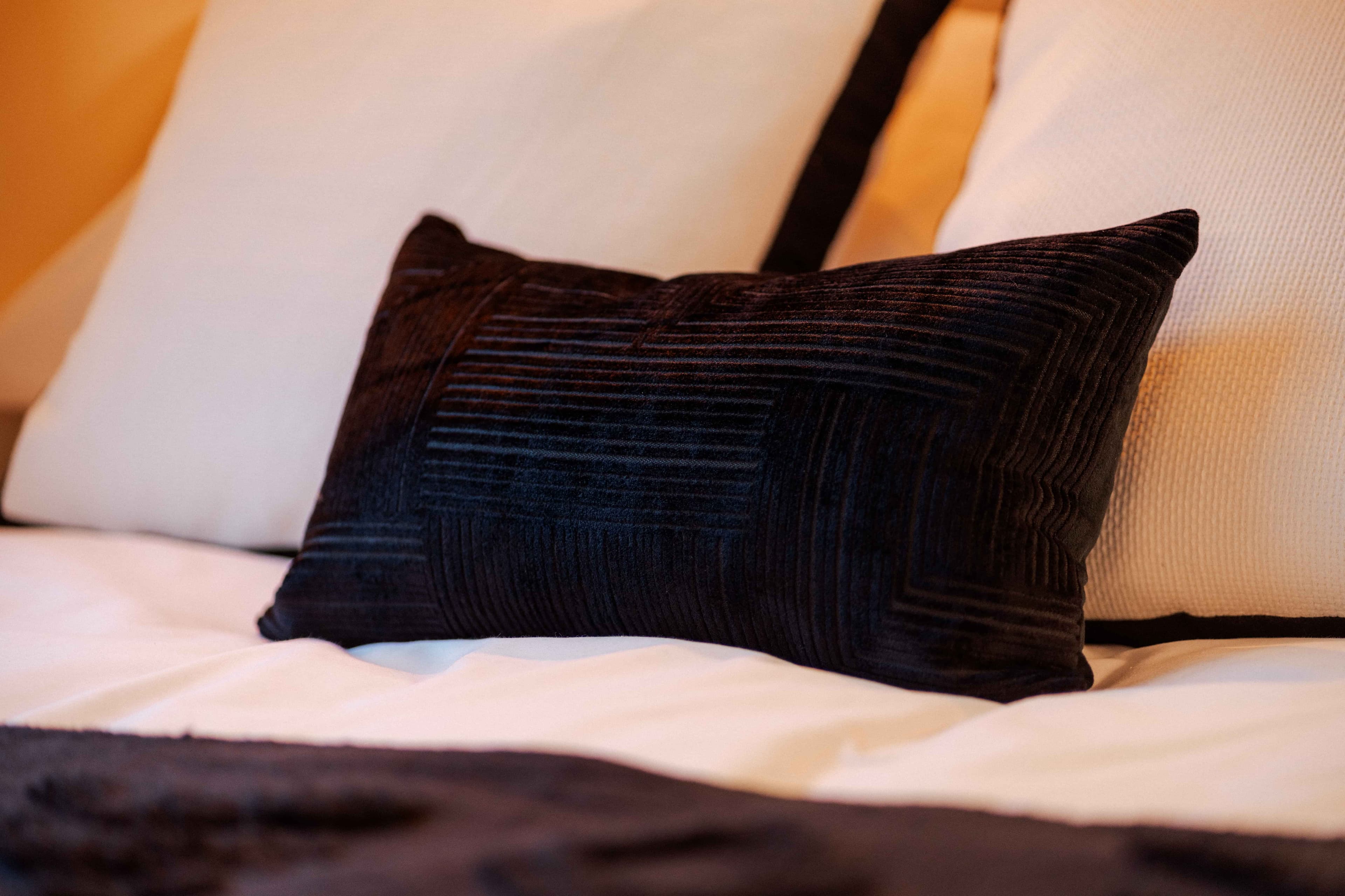 Classic Studio - Image 8