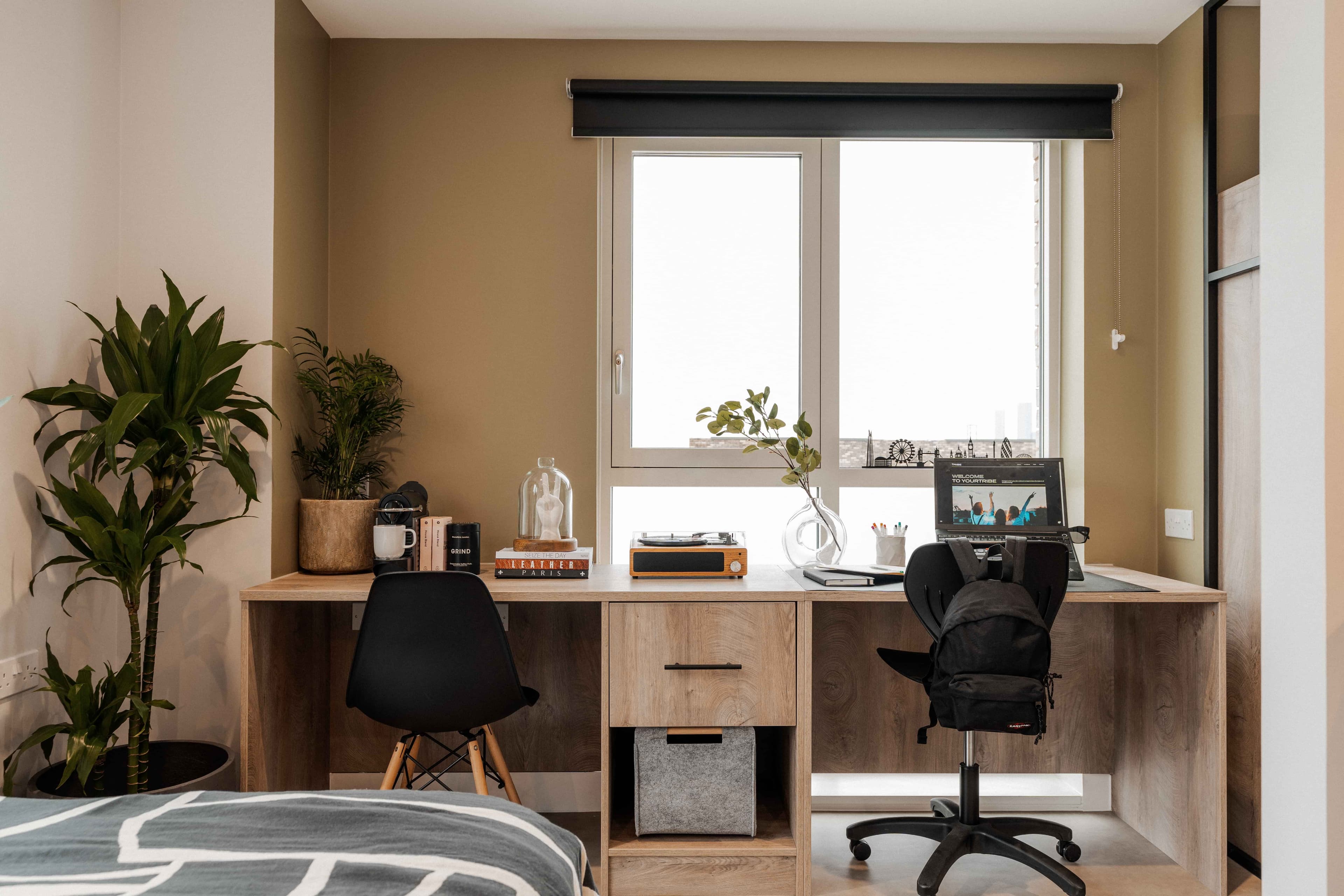 Ultimate Studio - Image 15