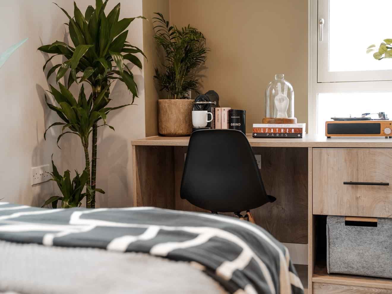 Ultimate Studio - Image 4