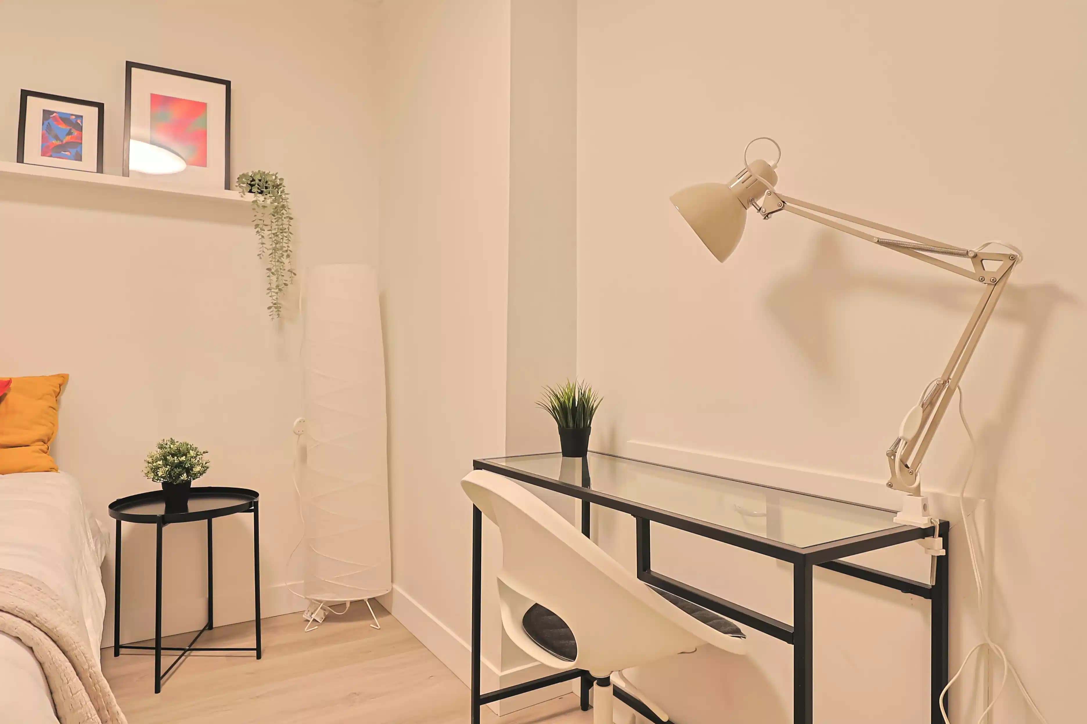 Olmo Room( 4 Bed 1 Bath ) - Image 3