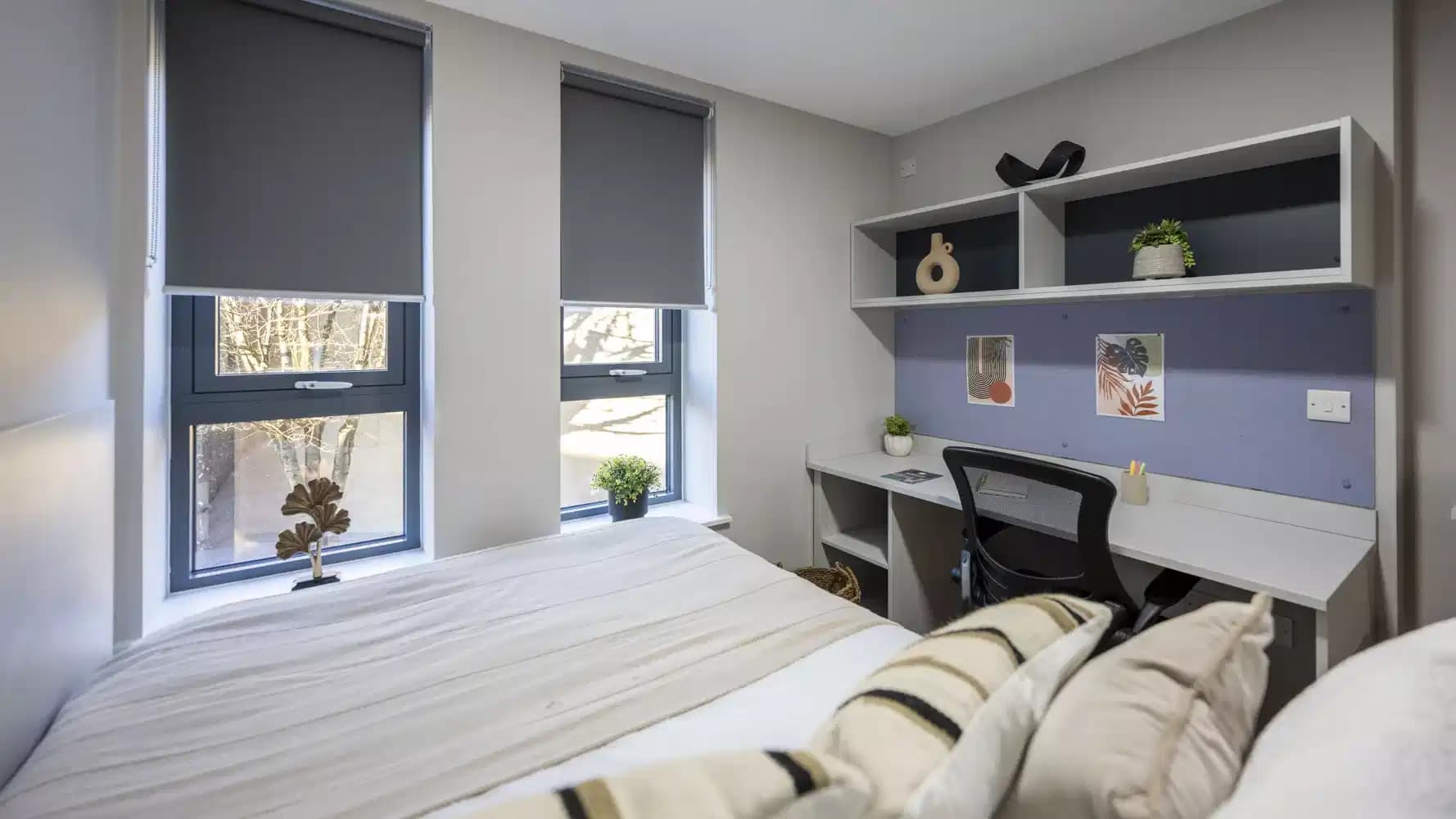 Classic Studio Plus - Image 1